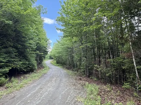 Lot 35 Mountain View Trail Greenville ME 04441