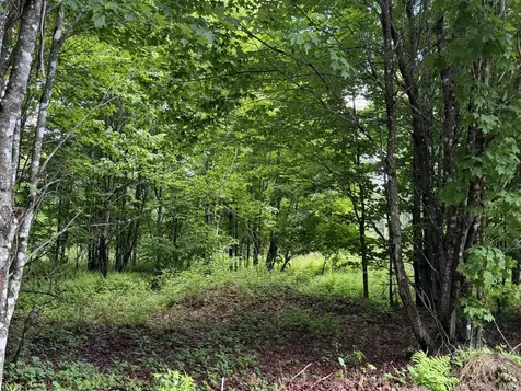Lot 35 Mountain View Trail Greenville ME 04441
