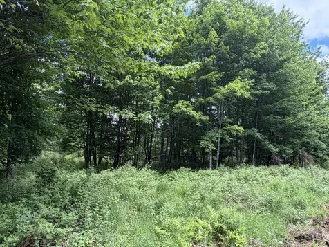 Lot 35 Mountain View Trail Greenville ME 04441