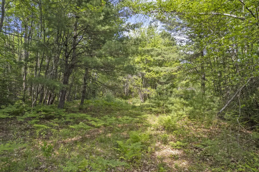 1238 Main Street Hartford ME 04220