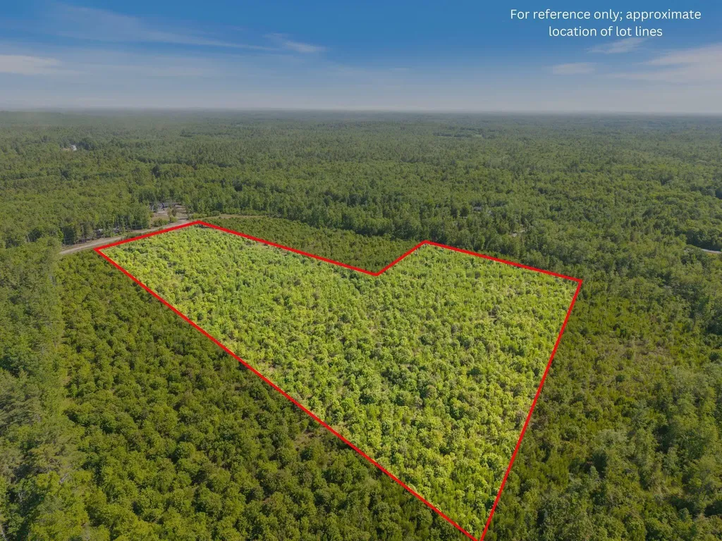 Map 004 Lot 064-5 & 064-6 Hollis ME 04042