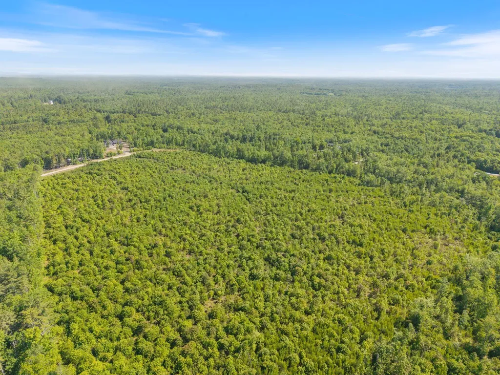 Map 004 Lot 064-5 & 064-6 Hollis ME 04042