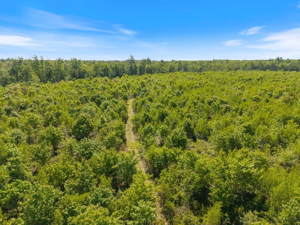 Map 004 Lot 064-5 & 064-6 Hollis ME 04042