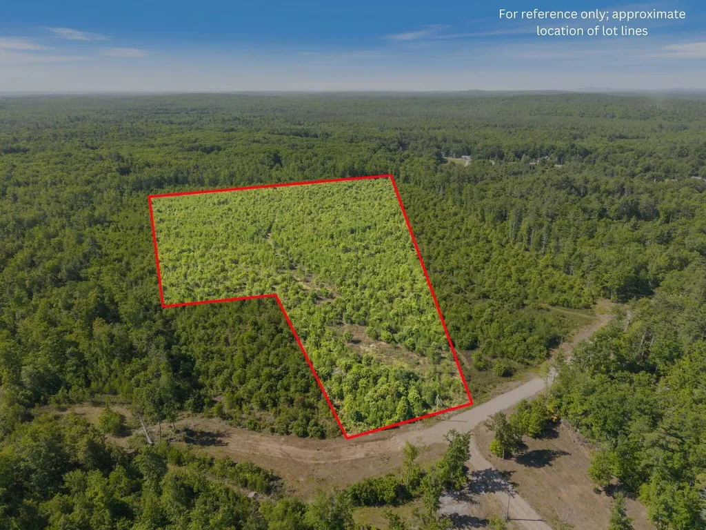 Map 004 Lot 064-5 & 064-6 Hollis ME 04042