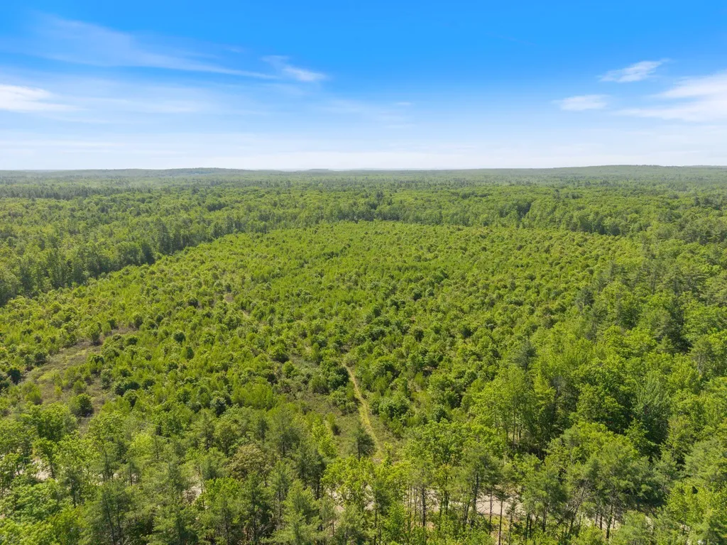 Map 004 Lot 064-5 & 064-6 Hollis ME 04042