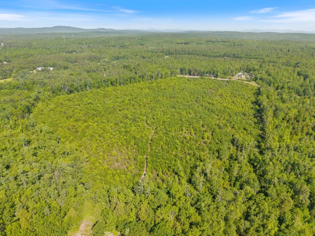 Map 004 Lot 064-5 & 064-6 Hollis ME 04042