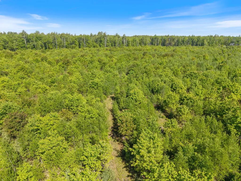 Map 004 Lot 064-5 & 064-6 Hollis ME 04042