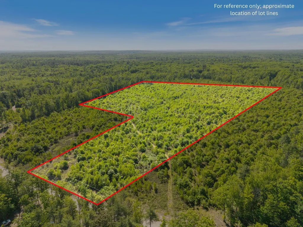 Map 004 Lot 064-5 & 064-6 Hollis ME 04042