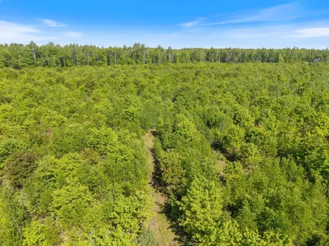 Map 004 Lot 064-5 & 064-6 Hollis ME 04042