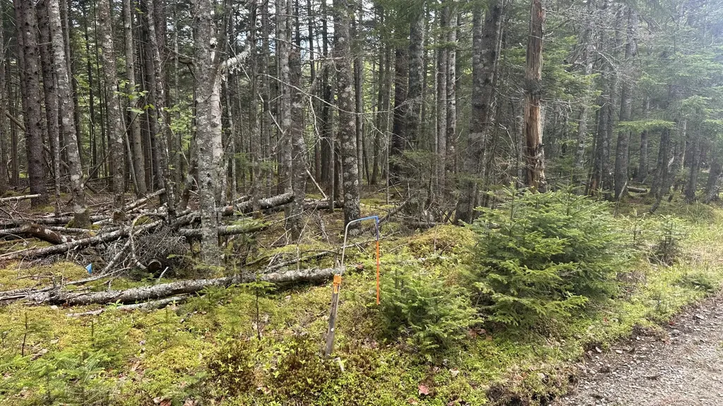 M2 L43 Old Wagon Trail Road Roque Bluffs ME 04654