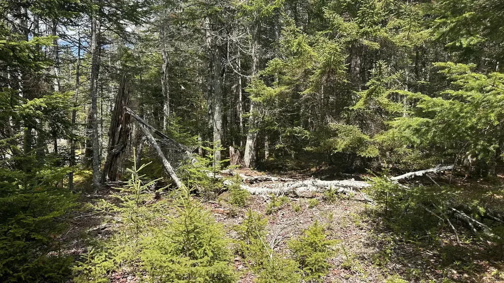 M2 L43 Old Wagon Trail Road Roque Bluffs ME 04654