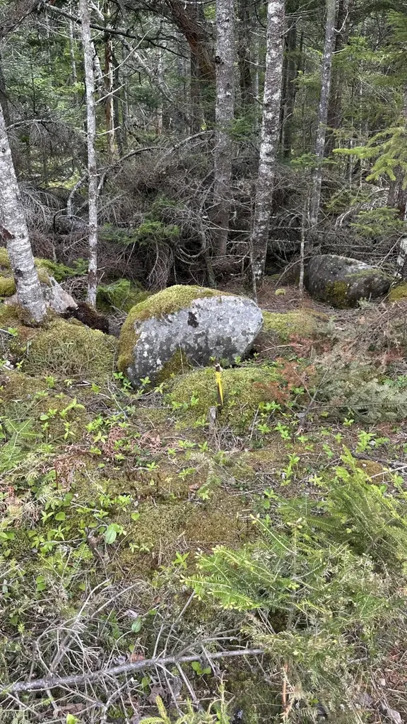 M2 L43 Old Wagon Trail Road Roque Bluffs ME 04654