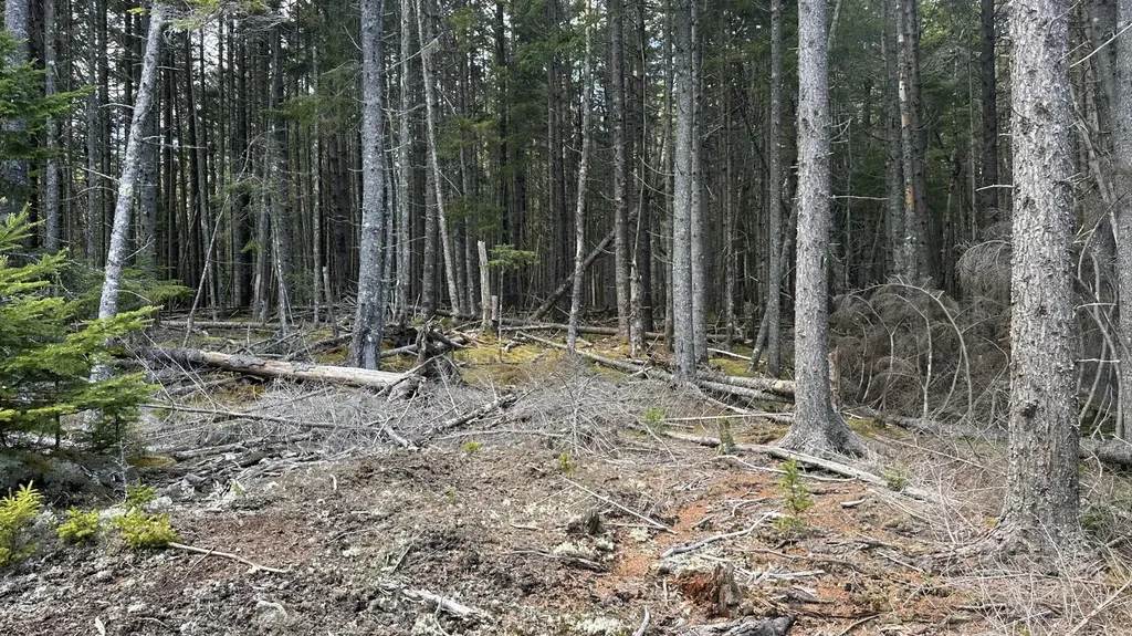 M2 L43 Old Wagon Trail Road Roque Bluffs ME 04654