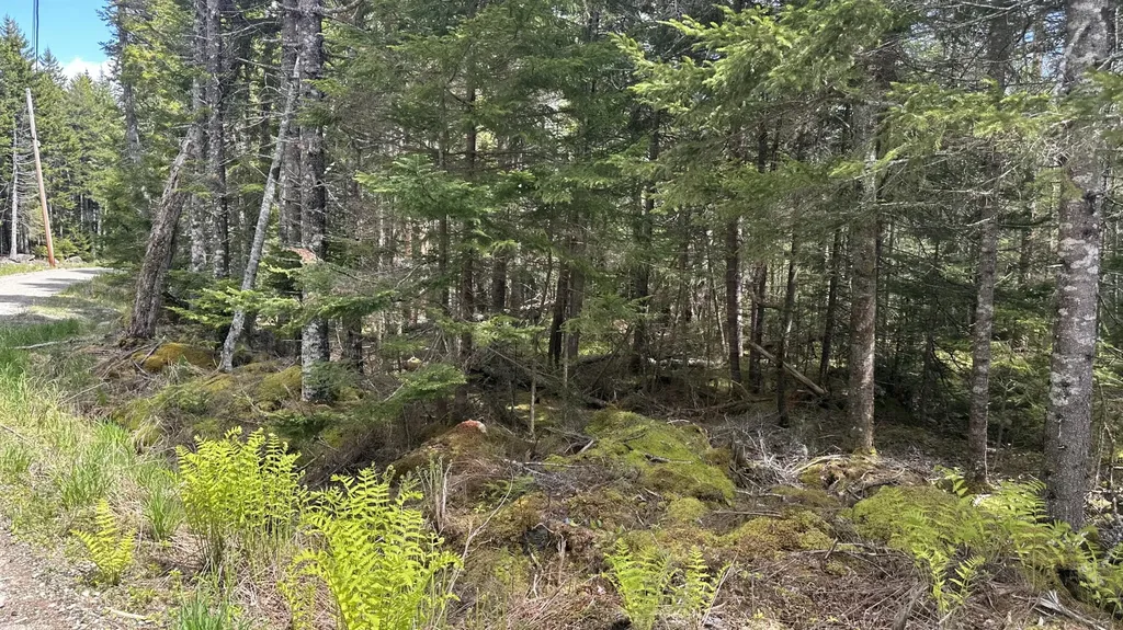 M2 L43 Old Wagon Trail Road Roque Bluffs ME 04654