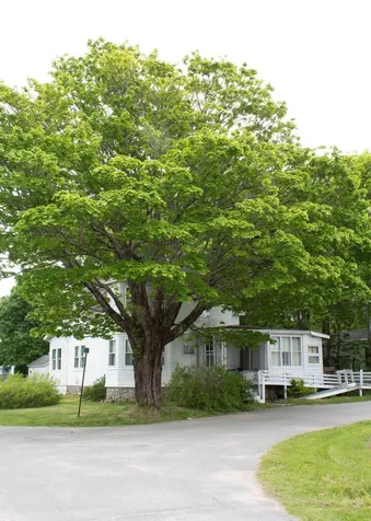 25 Pleasant Street Vinalhaven ME 04863