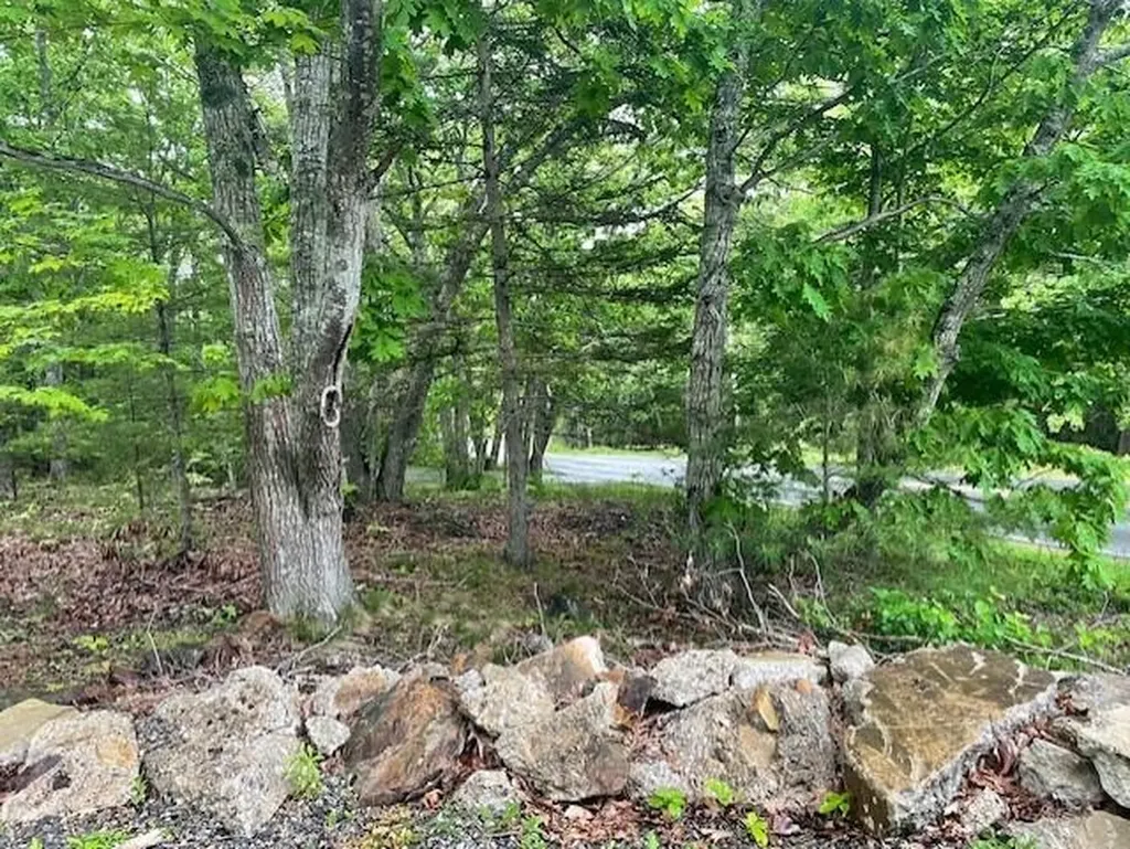346 N Shore Drive Owls Head ME 04854