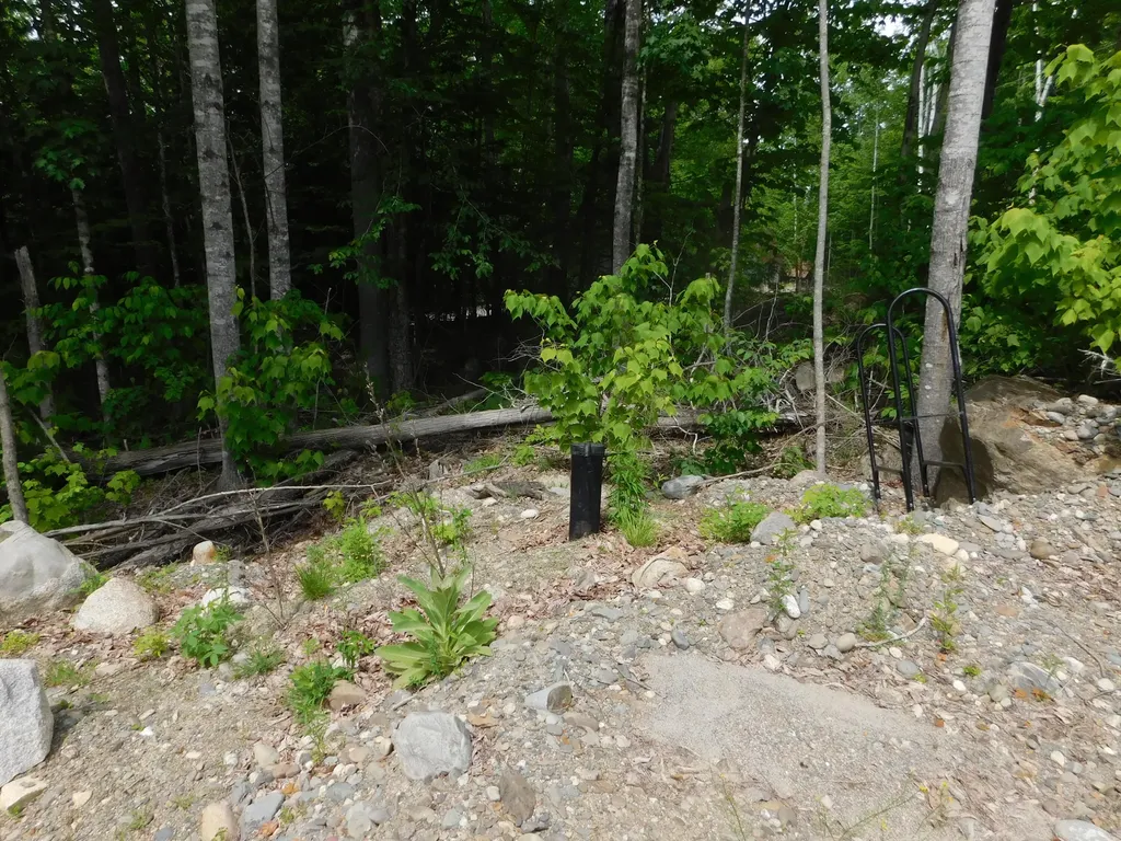142 Birch Lane Lowell ME 04493