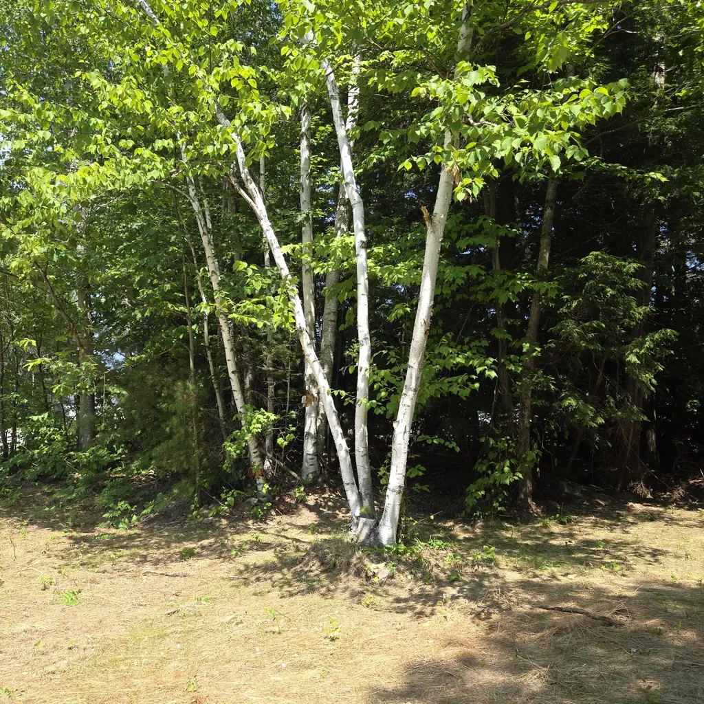 1 Mountainview Drive Lincoln ME 04457