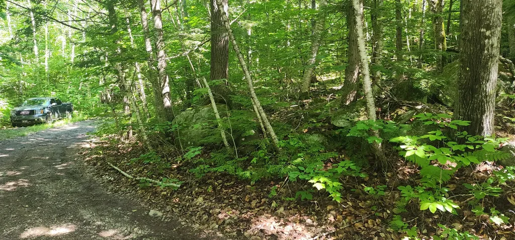 20.82 Ac Sleeper Road Island Falls ME 04747
