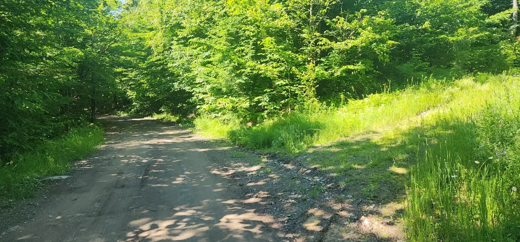 20.82 Ac Sleeper Road Island Falls ME 04747