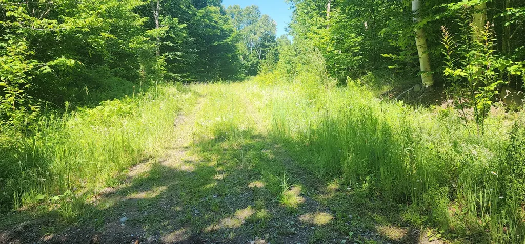 20.82 Ac Sleeper Road Island Falls ME 04747