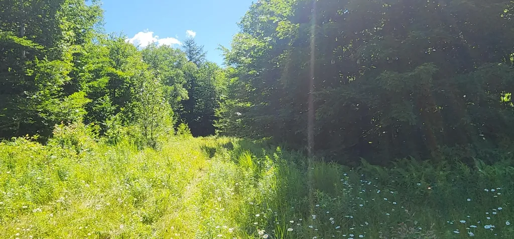 20.82 Ac Sleeper Road Island Falls ME 04747