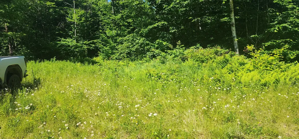20.82 Ac Sleeper Road Island Falls ME 04747