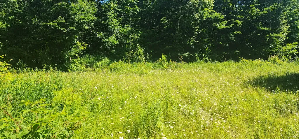 20.82 Ac Sleeper Road Island Falls ME 04747