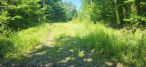 20.82 Ac Sleeper Road Island Falls ME 04747