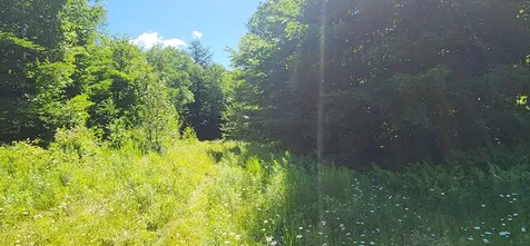 20.82 Ac Sleeper Road Island Falls ME 04747