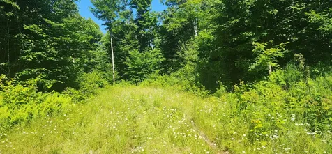 20.82 Ac Sleeper Road Island Falls ME 04747