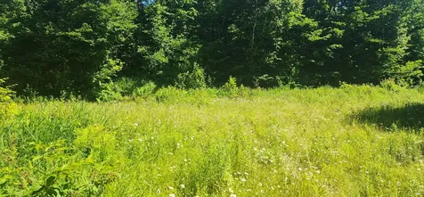 20.82 Ac Sleeper Road Island Falls ME 04747
