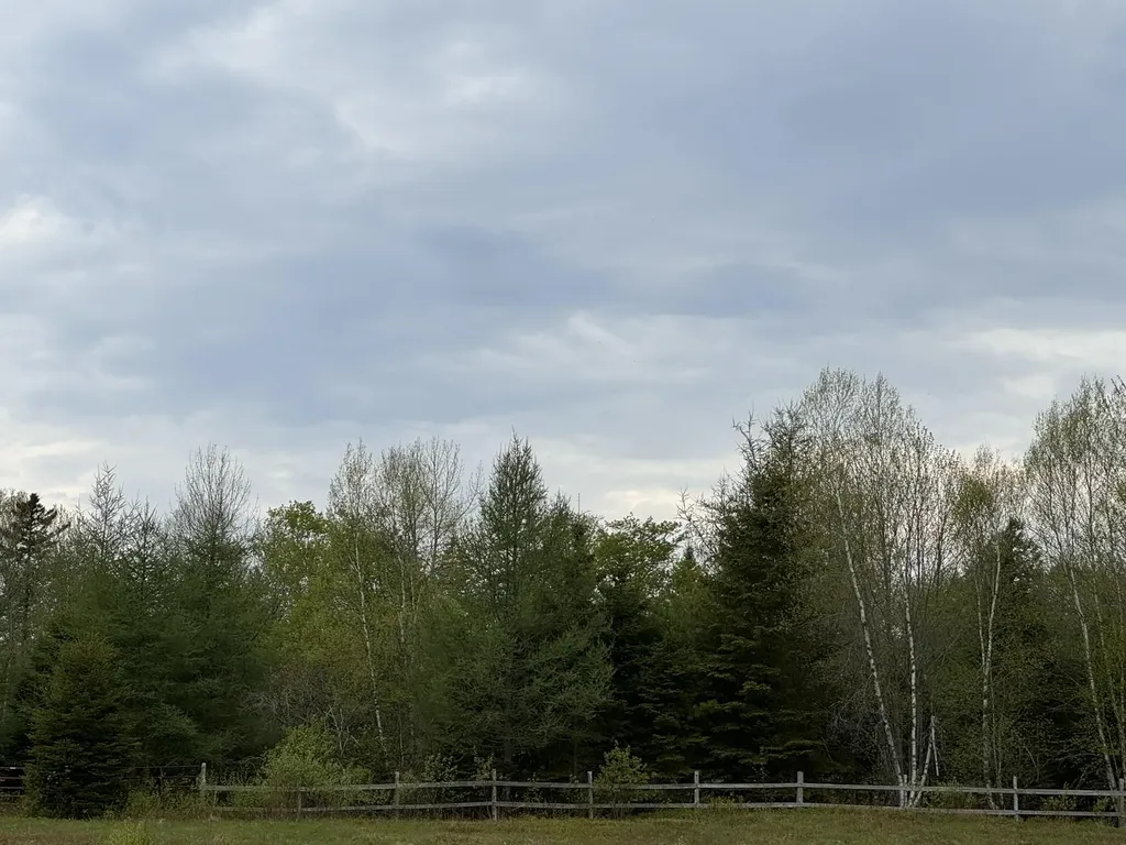 156 N North Union Road Cooper ME 04657
