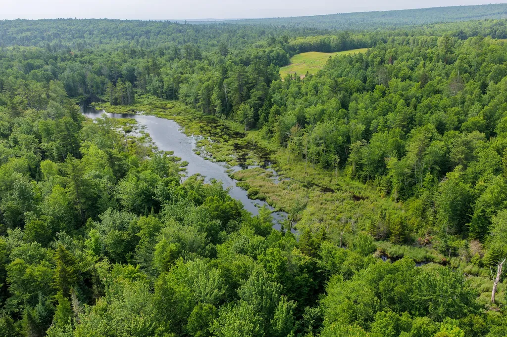 156 North Union Road Cooper ME 04657