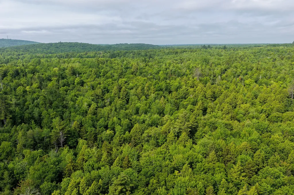 156 North Union Road Cooper ME 04657