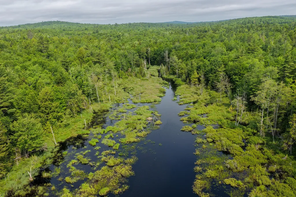 156 North Union Road Cooper ME 04657