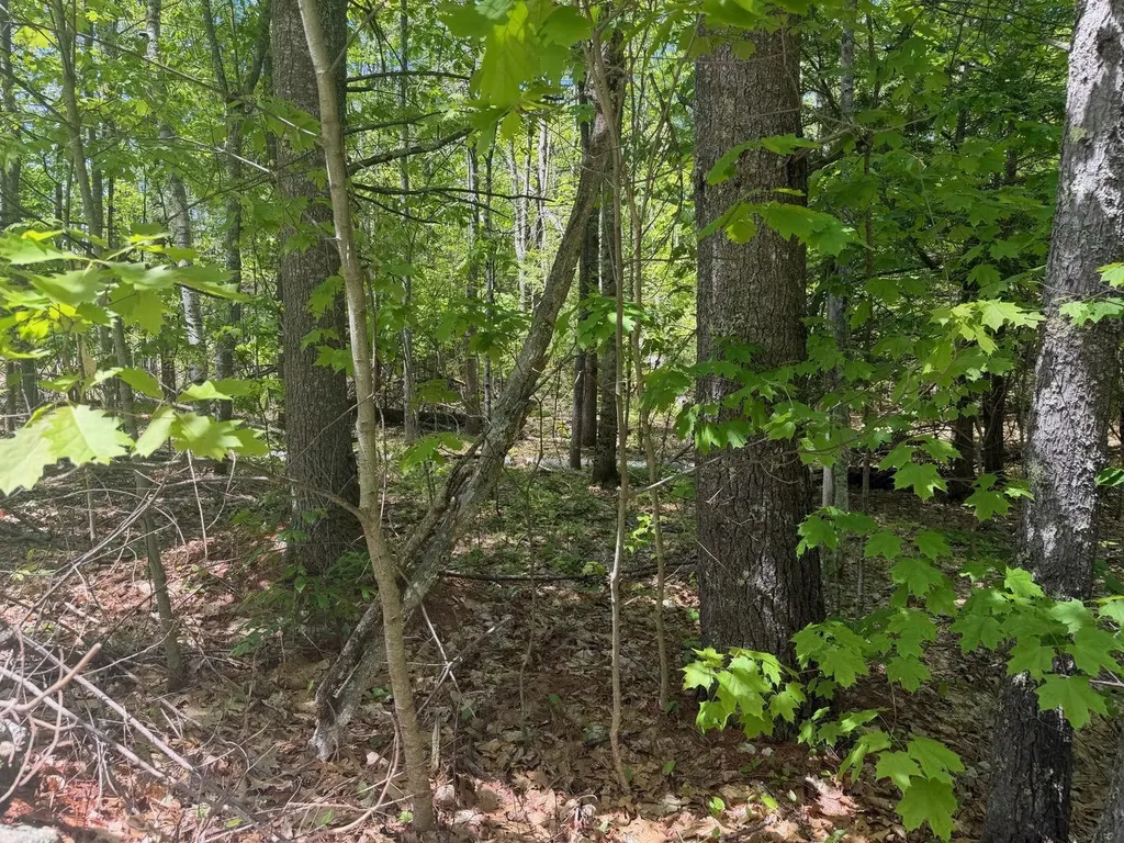 Tbd Middle Road Waterboro ME 04087