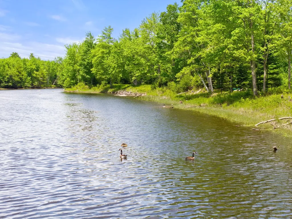 31 Hallbrook Way Ellsworth ME 04605