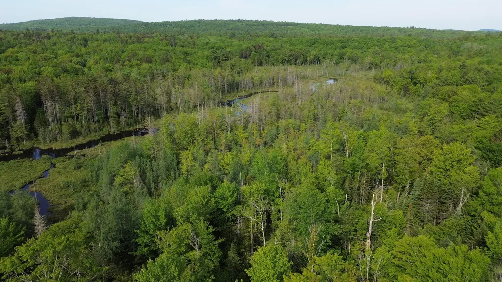 M5L13 Clark Road Prospect ME 04981