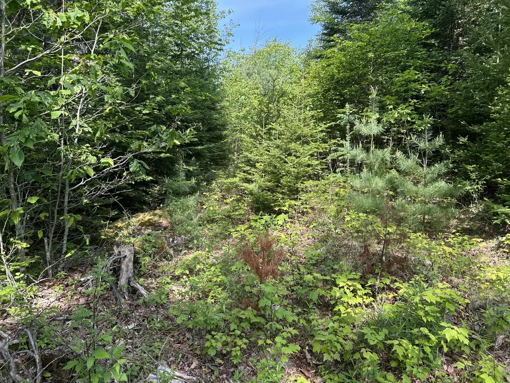 M5L13 Clark Road Prospect ME 04981