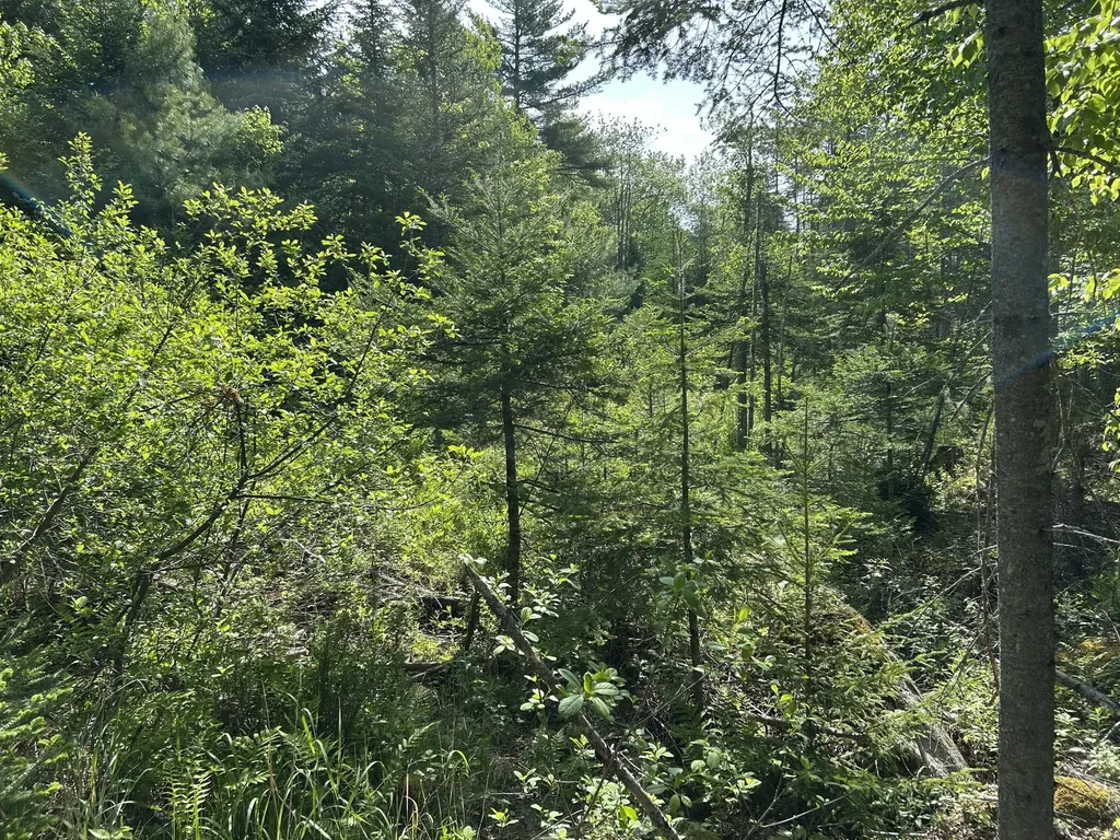 M5L13 Clark Road Prospect ME 04981