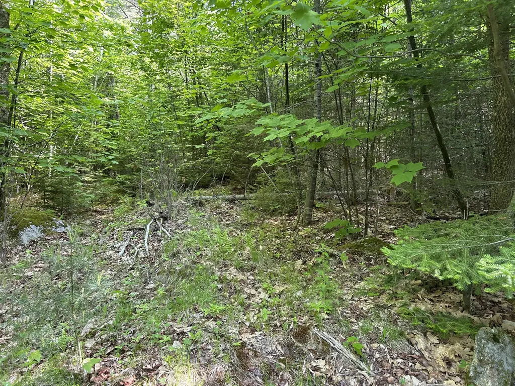 M5L13 Clark Road Prospect ME 04981