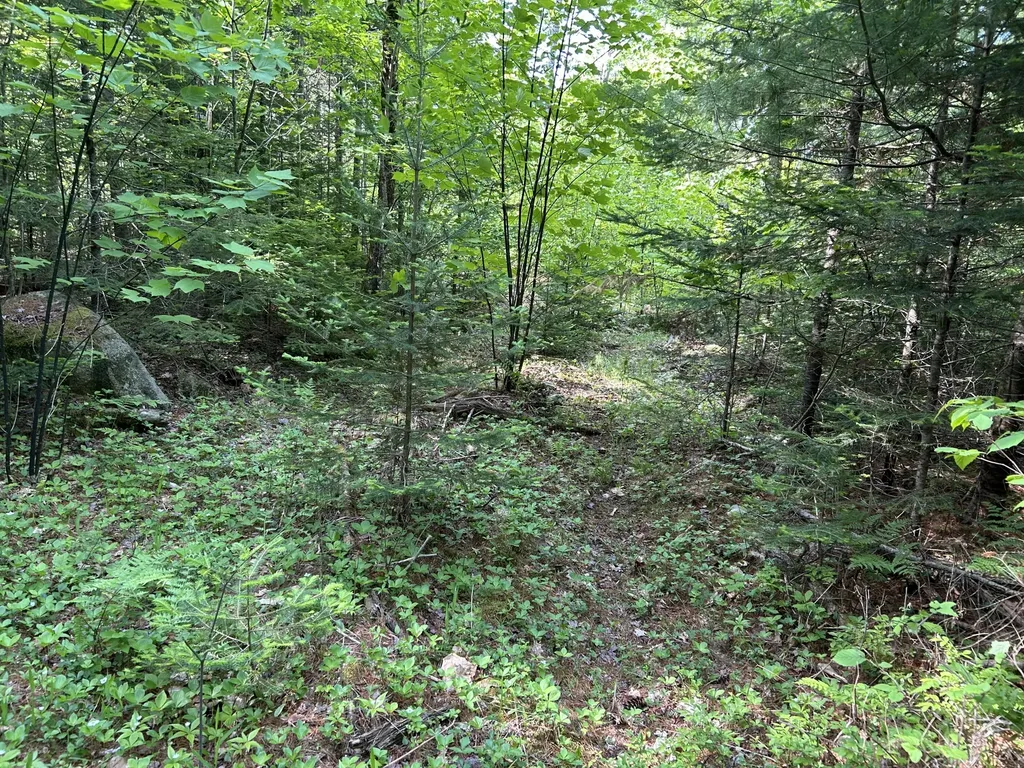 M5L13 Clark Road Prospect ME 04981