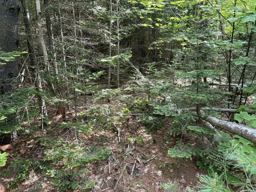 M5L13 Clark Road Prospect ME 04981