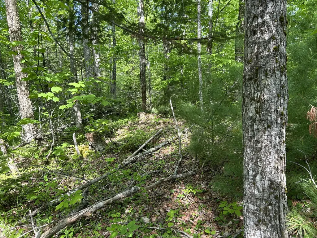 M5L13 Clark Road Prospect ME 04981