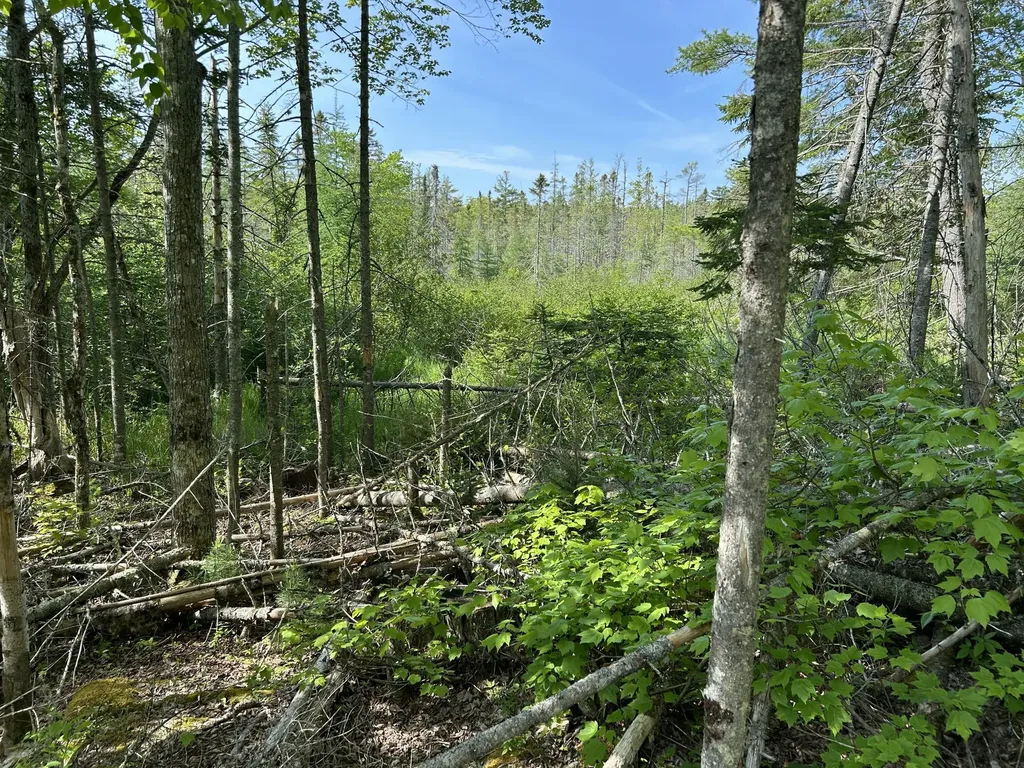 M5L13 Clark Road Prospect ME 04981