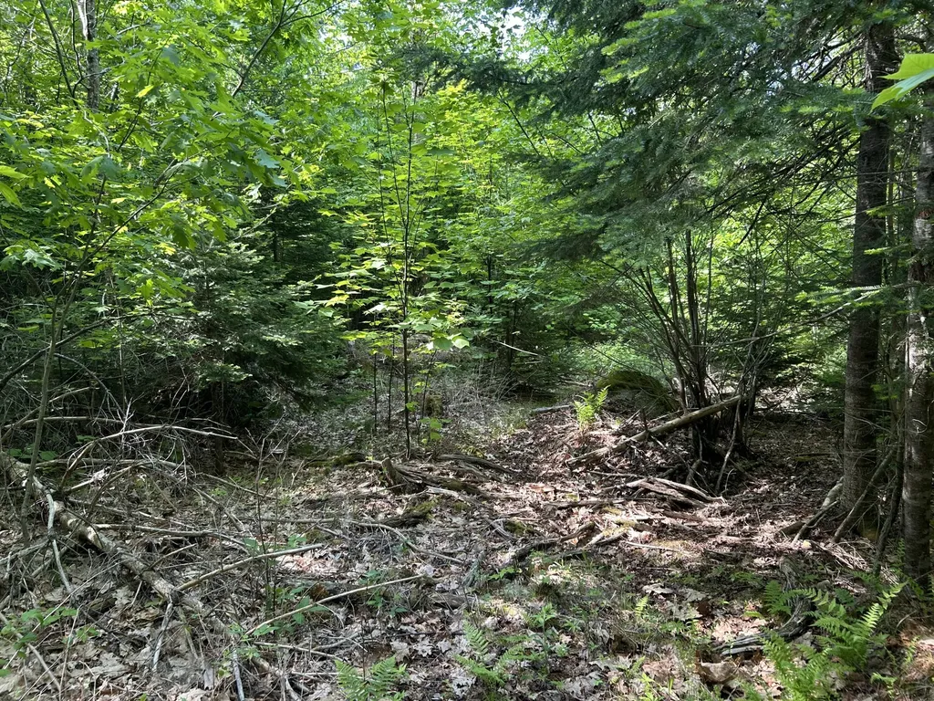 M5L13 Clark Road Prospect ME 04981