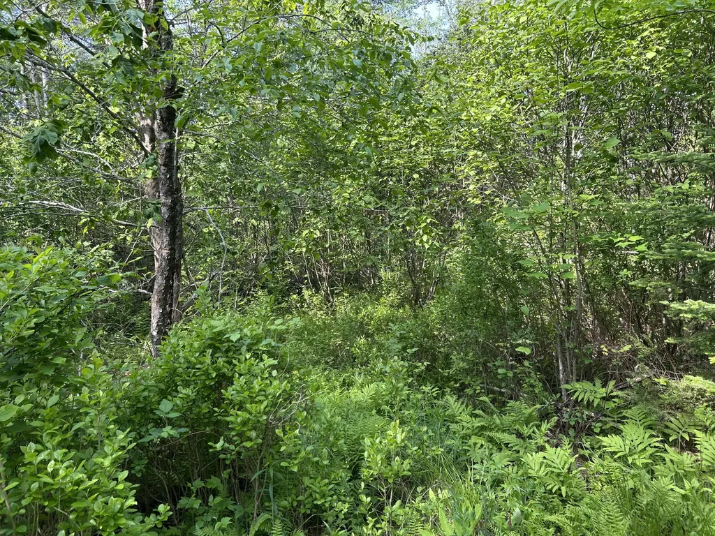 M5L13 Clark Road Prospect ME 04981