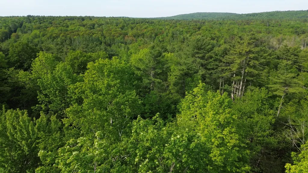 M5L13 Clark Road Prospect ME 04981
