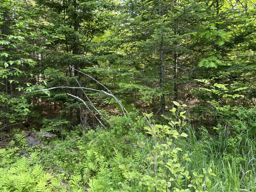 M5L13 Clark Road Prospect ME 04981